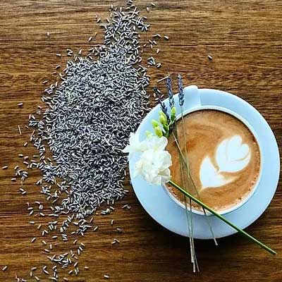 latte drink with flowers and seeds